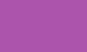 The Xander Xtreme