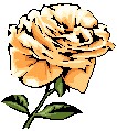 rose.jpg (8551 bytes)