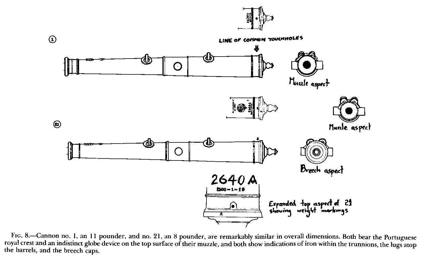 Figure 8. Cannon number 1, an 11 pounder, and number 21, an 8 pounder, are remarkably similar in overall dimensions. Both bear the Portuguese royal crest and an indistinct globe device on the top surface of their muzzle, and both show indications of iron within the trunnions, the lugs atop the barrels, and the breech caps.