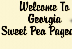 Welcome To Georgia Sweet Pea
