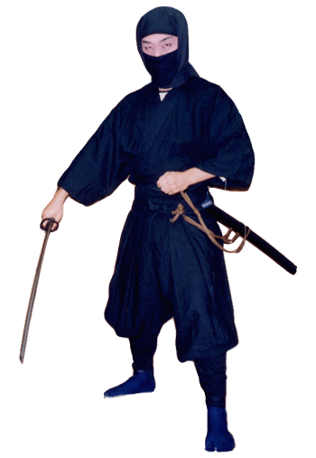 ninja.gif (41226 bytes)