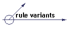 rule variants