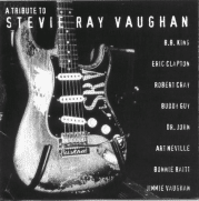 A TRIBUTE TO STEVIE RAY VAUGHAN - Various Artists