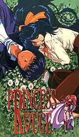 the tape cover of Princess Rouge