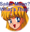 What is Sailor Moon