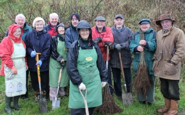 tree planting at Blackhead path, Whitehead, 29th November 2011