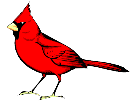 images/cardinal.gif (8450 bytes)