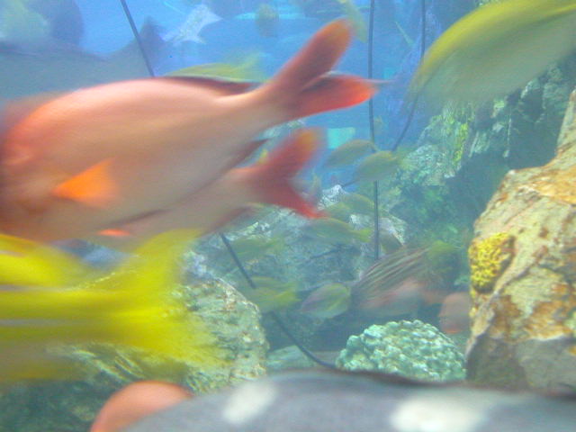 Enter Tokyo's 9th storey high aquarium at Ikebukuro's Sunshine City