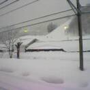 Typical Japanese snowworld