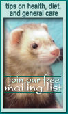 Want tips on health, diet and general ferret care? Sign up for our free mailing list!