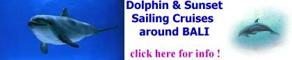 please visit also our dolphin watch-Site