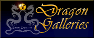 Dragon Oriental Art Galleries