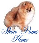 Show Poms
Home