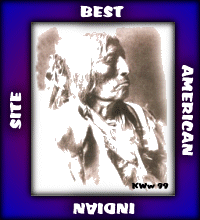 Best American Indian Site Award