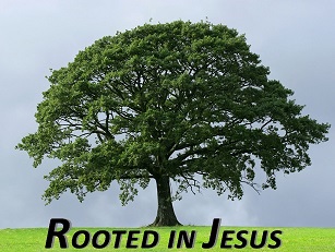 Rooted In Jesus 