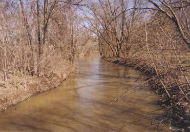 Cedar Creek at Eckhart Park Footbridge in Auburn