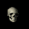 skull.gif (10135 bytes)