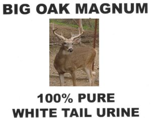 Big Oak Magnum 100% pure whitetail urine