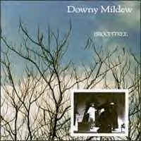 Broomtree (1987) - High Street re-issues include four tracks from the Downy Mildew ep