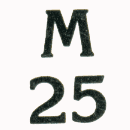 MacGregor 25