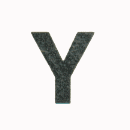 Y-Flyer