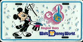 20 Magical Years, Walt Disney World