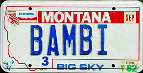 Montana - BAMBI
