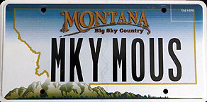 Montana - MKY MOUS