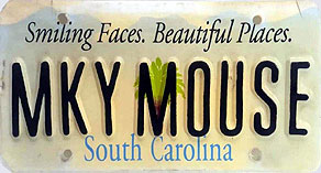 South Carolina - MKYMOUSE