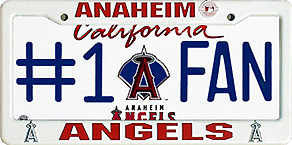 AA-FR-08A Frame with SP-AA-19 License Plate