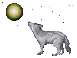 wolf/moon