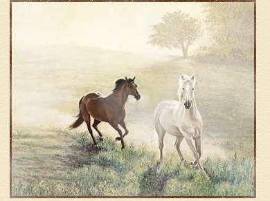 <>*<>Wild Horses & Cattle,  Camp Fires & Stars<>*<>!!!