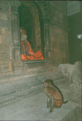 Monk and Monkey along the Bagmati