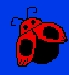ladybug-1