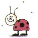 ladybug10
