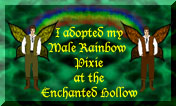 Adopt your Male Rainbow Pixie Here!