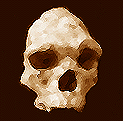 crani de Taltell
