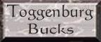 Toggenburg Bucks