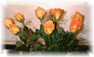 One Dozen Orange Roses