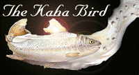 The Kaha Bird