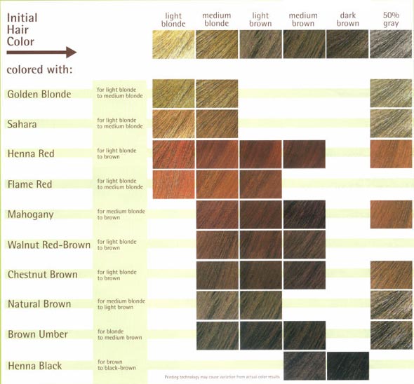 Logona Hair Color Chart