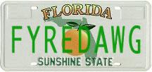 Florida Plate 2