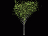 Tree1.gif (30106 bytes)