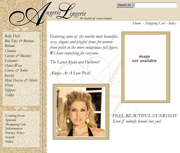 Angerie Lingerie Web Design 1