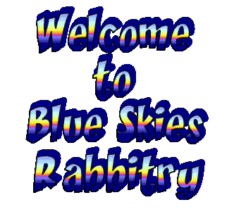 Welcome to Blue Skies Rabbitry