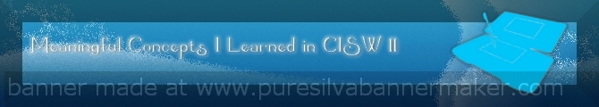 cisw 11 banner