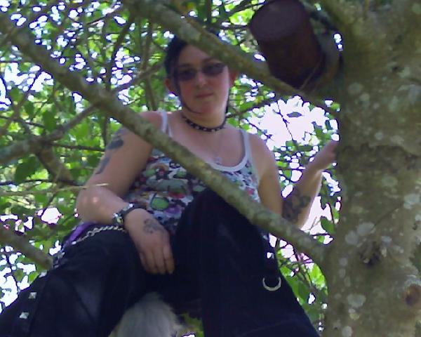 Angie in a tree