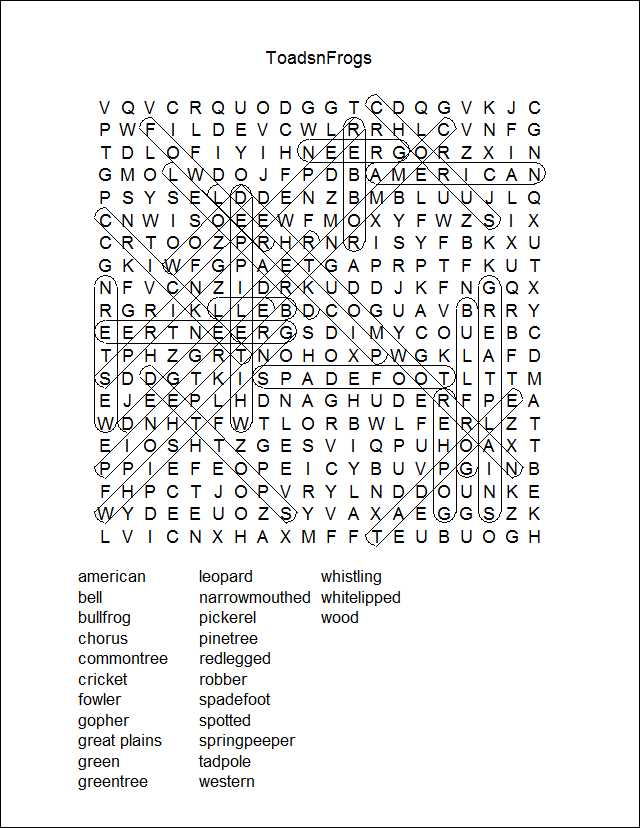 Word Search Construction Kit Puzzle