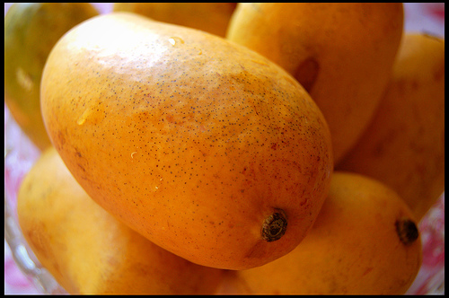 closeup of golden manilla mangoes