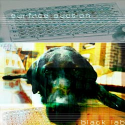 surface suction: black lab